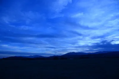 DSC_0958 (Large).JPG